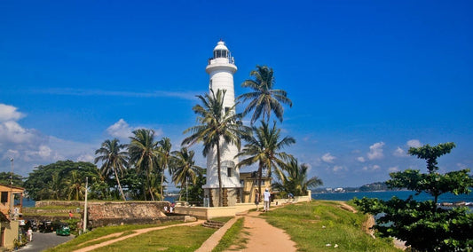 Highlights Tour of Sri Lanka