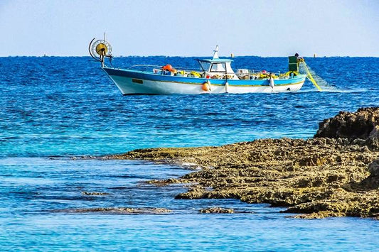 7-Day Private Customized Family Tour in Cyprus