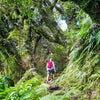 New Zealand: Walking and Wild Luxury