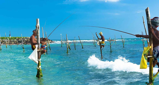 Premium Travel Destinations in Sri Lanka