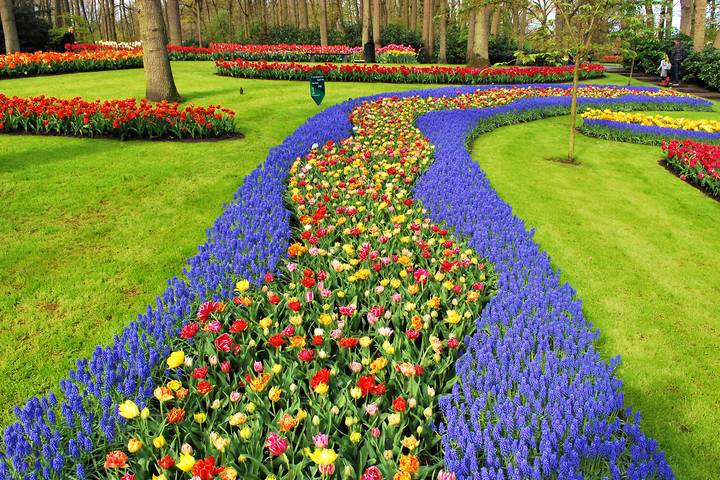 Holland and Belgium Springtime River Cruise