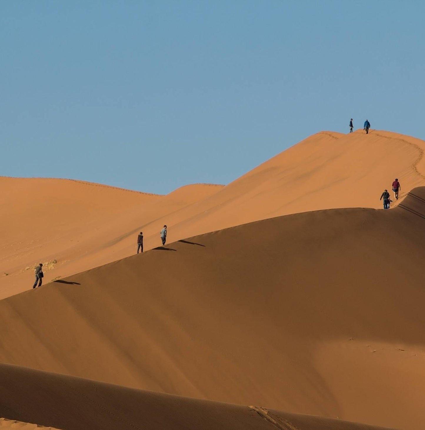Sossusvlei Safari Tour