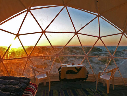 Baja: Whale Watching Eco-Adventure in San Ignacio