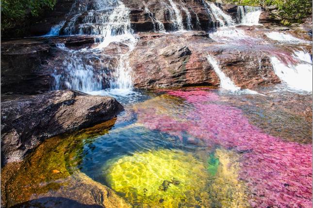 7 Days Rainbow Waters & City Lights - Colombia’s Wonders