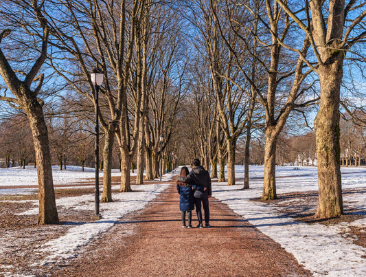 Norway: Arctic Honeymoon