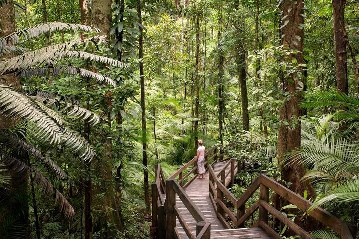 Sydney, Alice Springs, Uluru & Cairns Tour