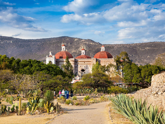 Mexico: Oaxaca Odyssey