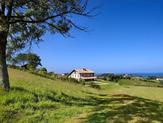 Spain: A Taste of the North