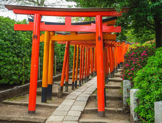 Japan: Wellness Immersion