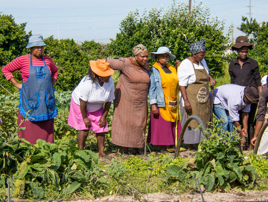 South Africa: Eco-Luxury Adventure