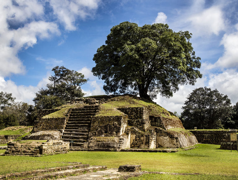 Green in Guatemala