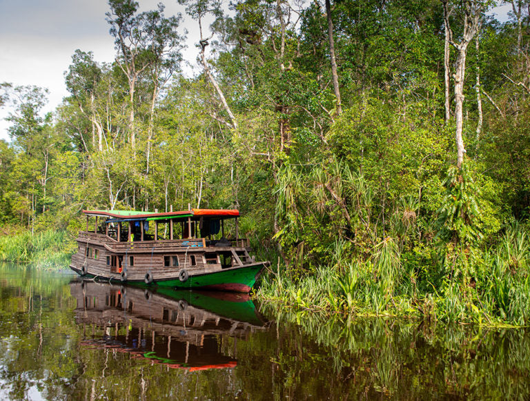 Indonesia: Beaches, Culture, and Wildlife