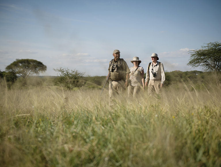 Tanzania: Great Migration Safari