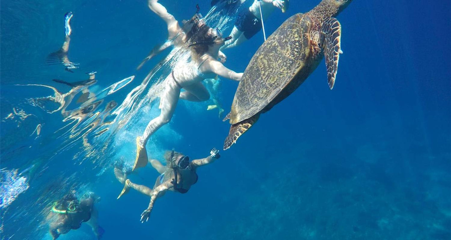 Bali Group Exploration 12D/11N