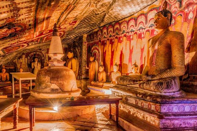 Highlights Tour of Sri Lanka