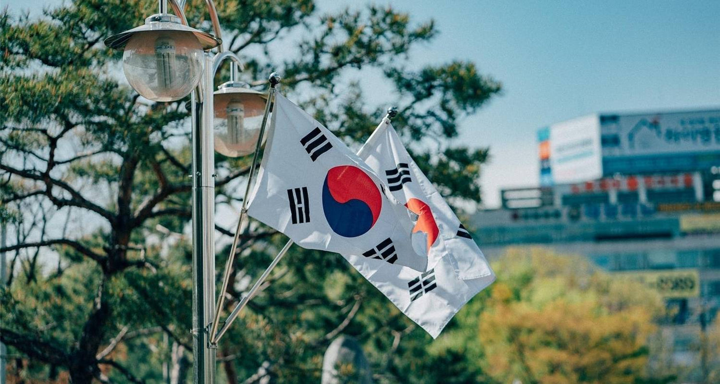 South Korea Circle Adventure 5D/4N