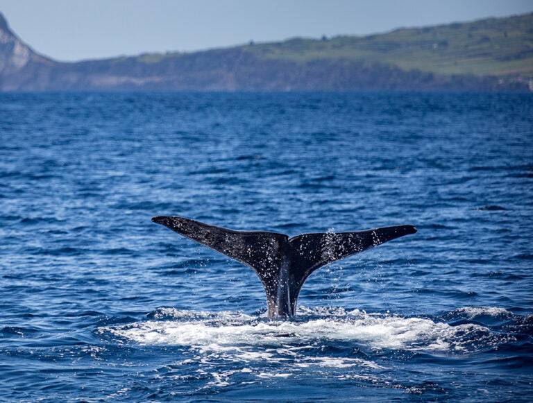 Azores: Family Adventure