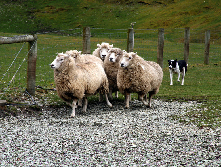 New Zealand: Active Family Eco-Adventure