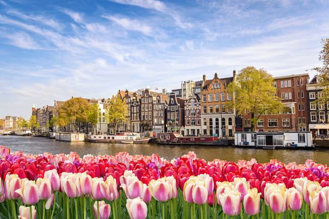 Holland & Belgium in Bloom