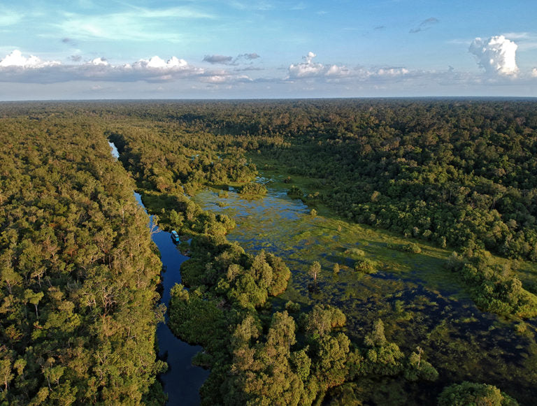 Indonesia: Beaches, Culture, and Wildlife