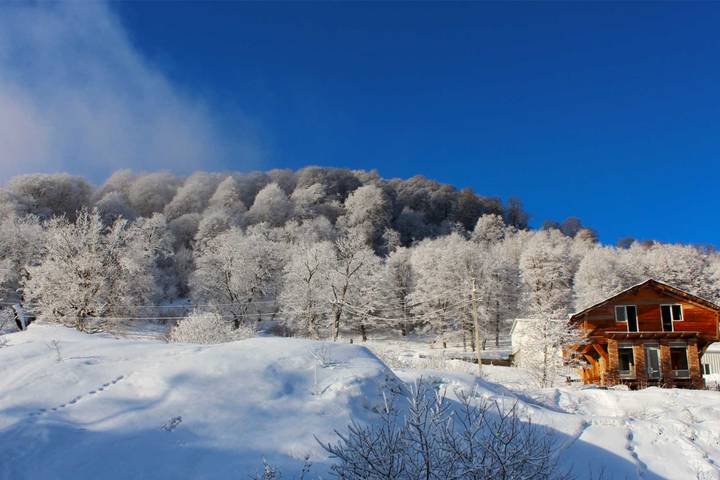 Winter in Georgia, Gudauri & Bakuriani
