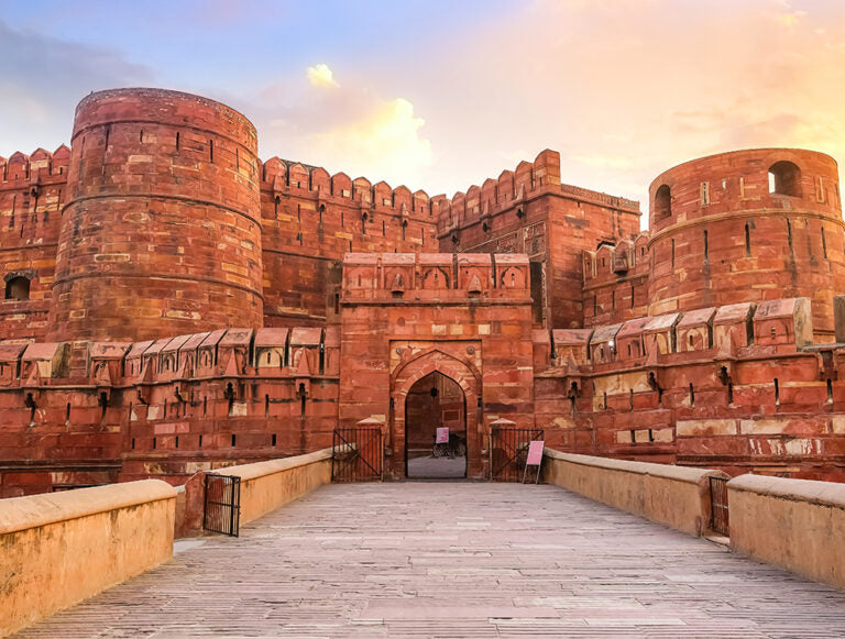 India: The Best of Tigers, History, and Culture