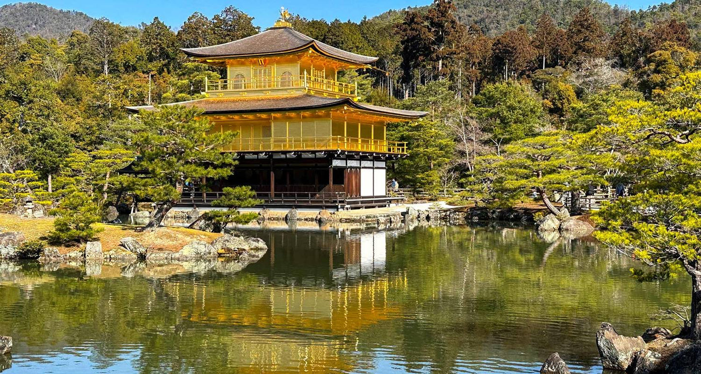 Best of Japan: Tokyo to Osaka (Private Guided)