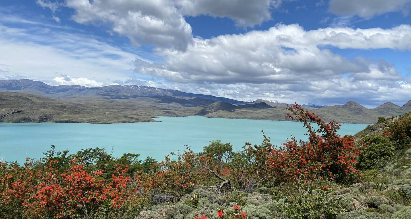 Epic Patagonia