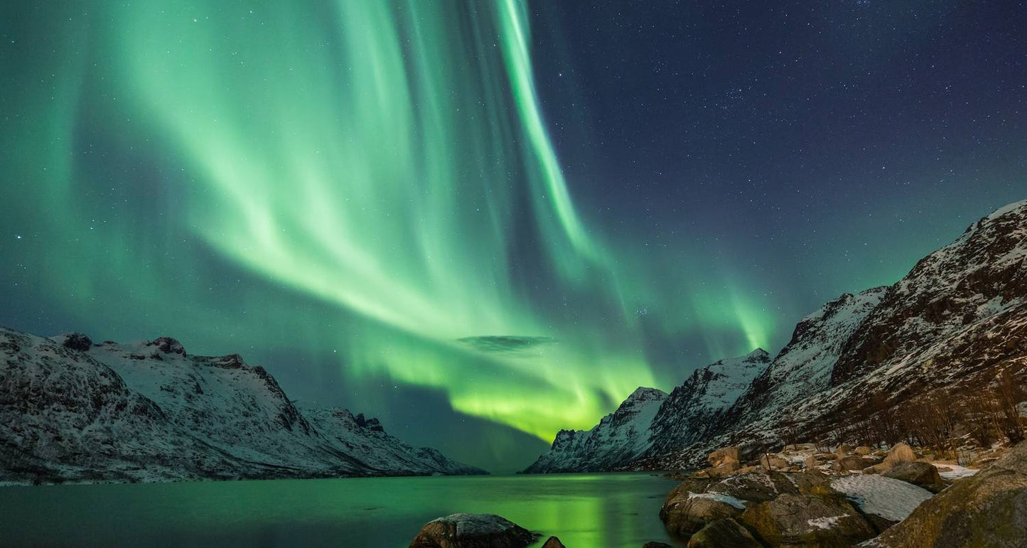Polar Nights in Northern Norway - 5 days