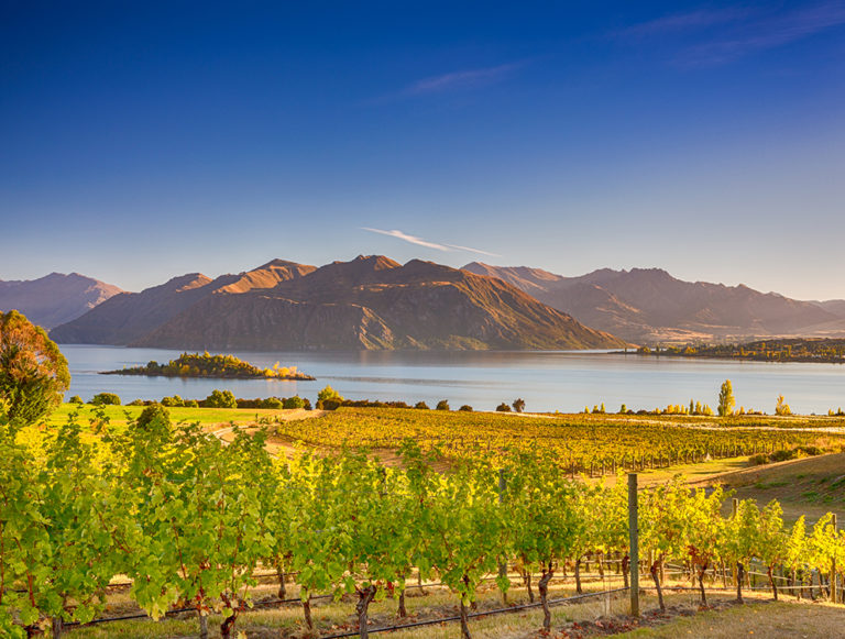 New Zealand: Active Family Eco-Adventure