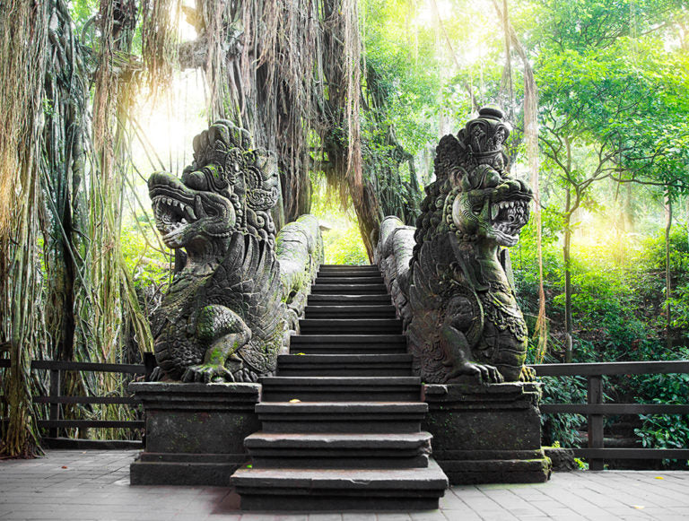 Indonesia: Beaches, Culture, and Wildlife