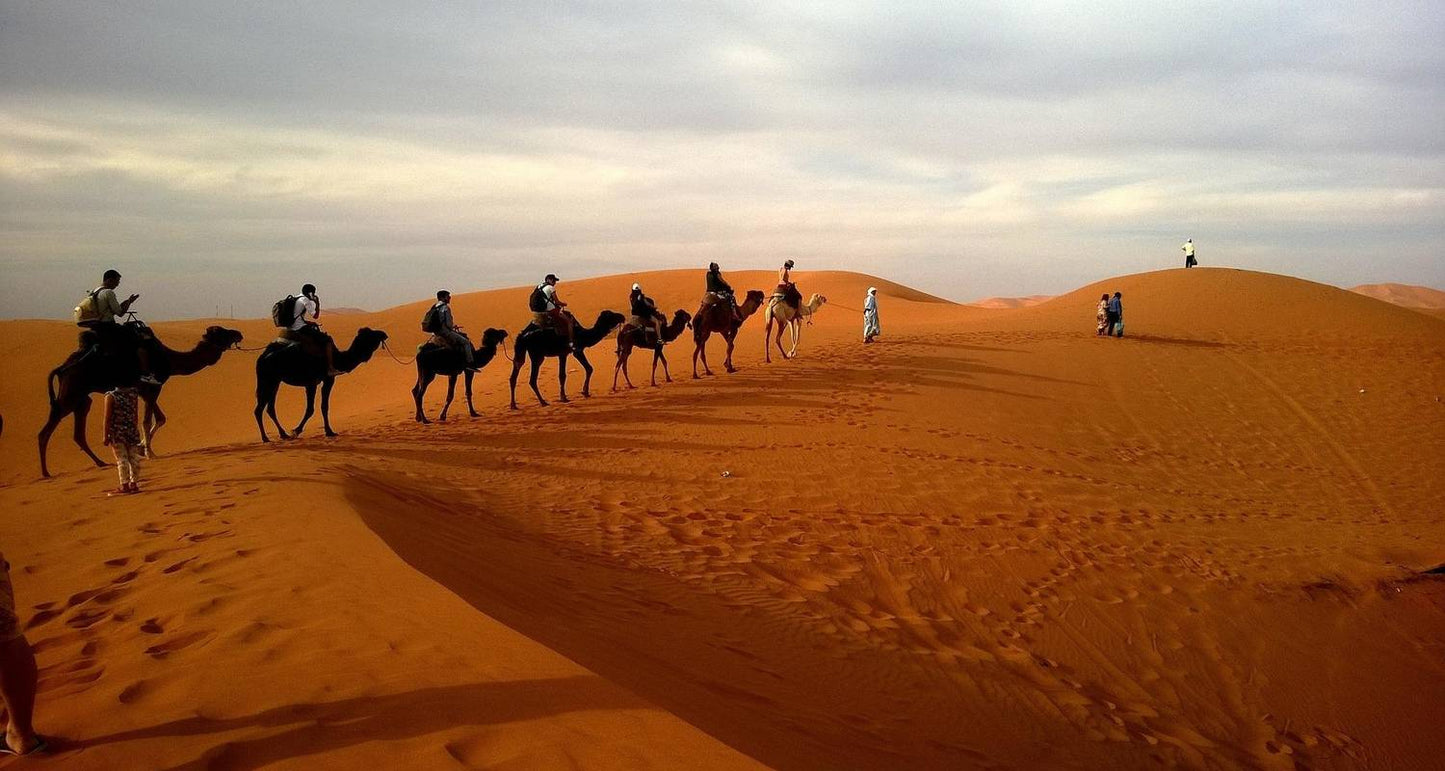Tailor-made Family Vacations in Saudi Arabia