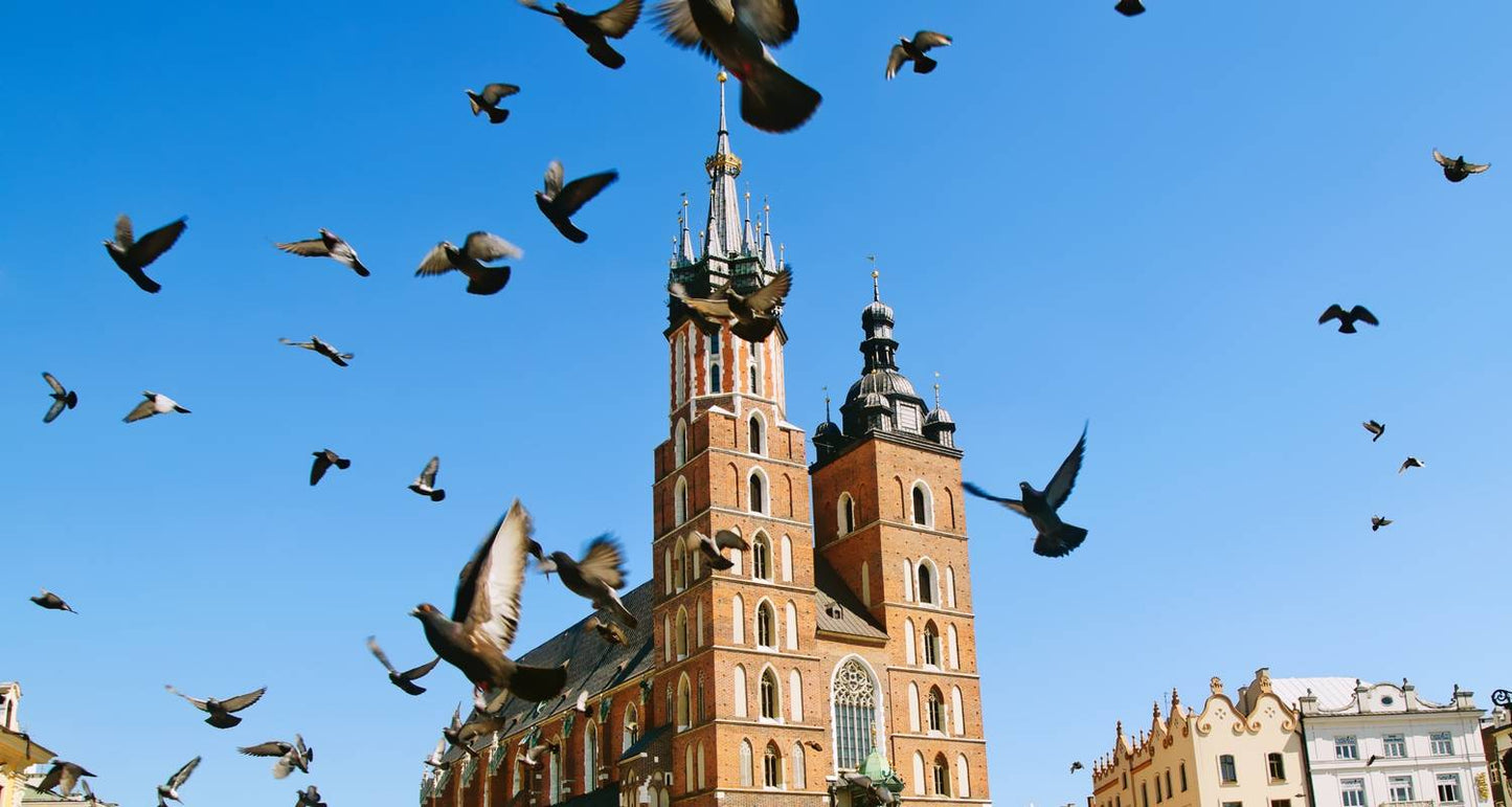 Poland Discovery - 7 Days