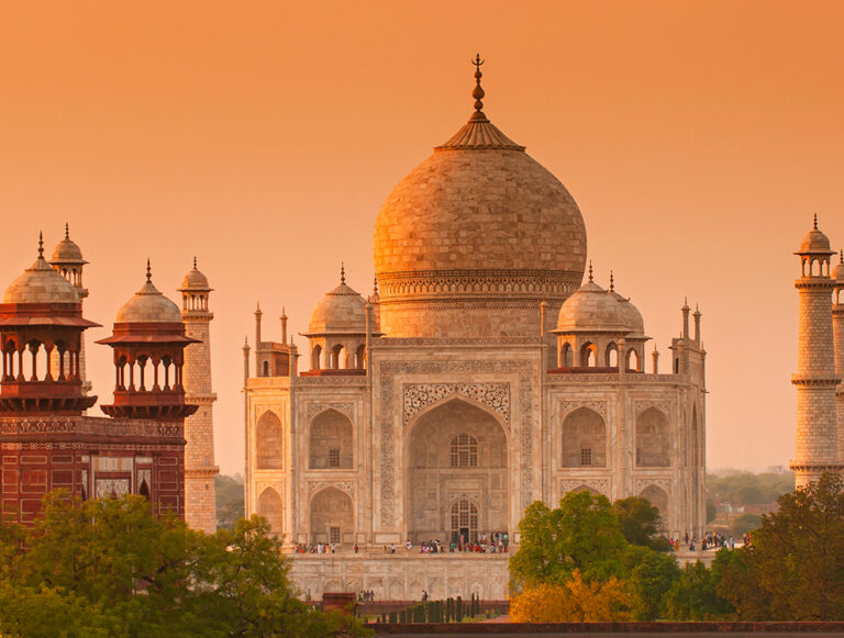 India: The Best of Tigers, History, and Culture