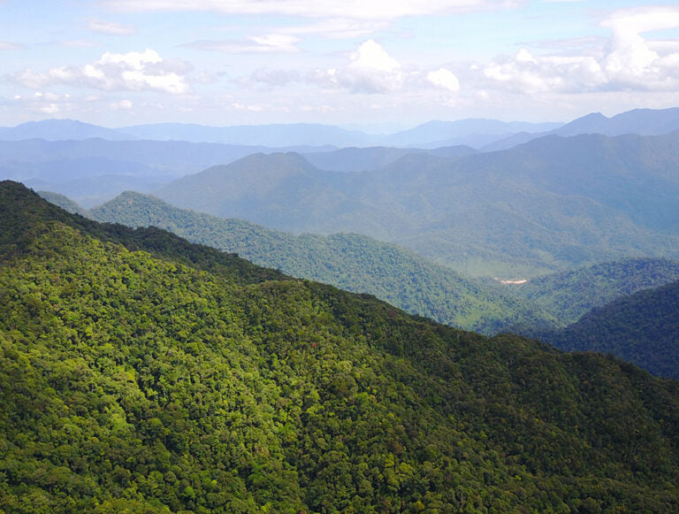 Vietnam: South to North