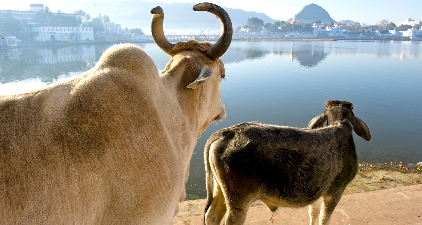 Historical Rajasthan