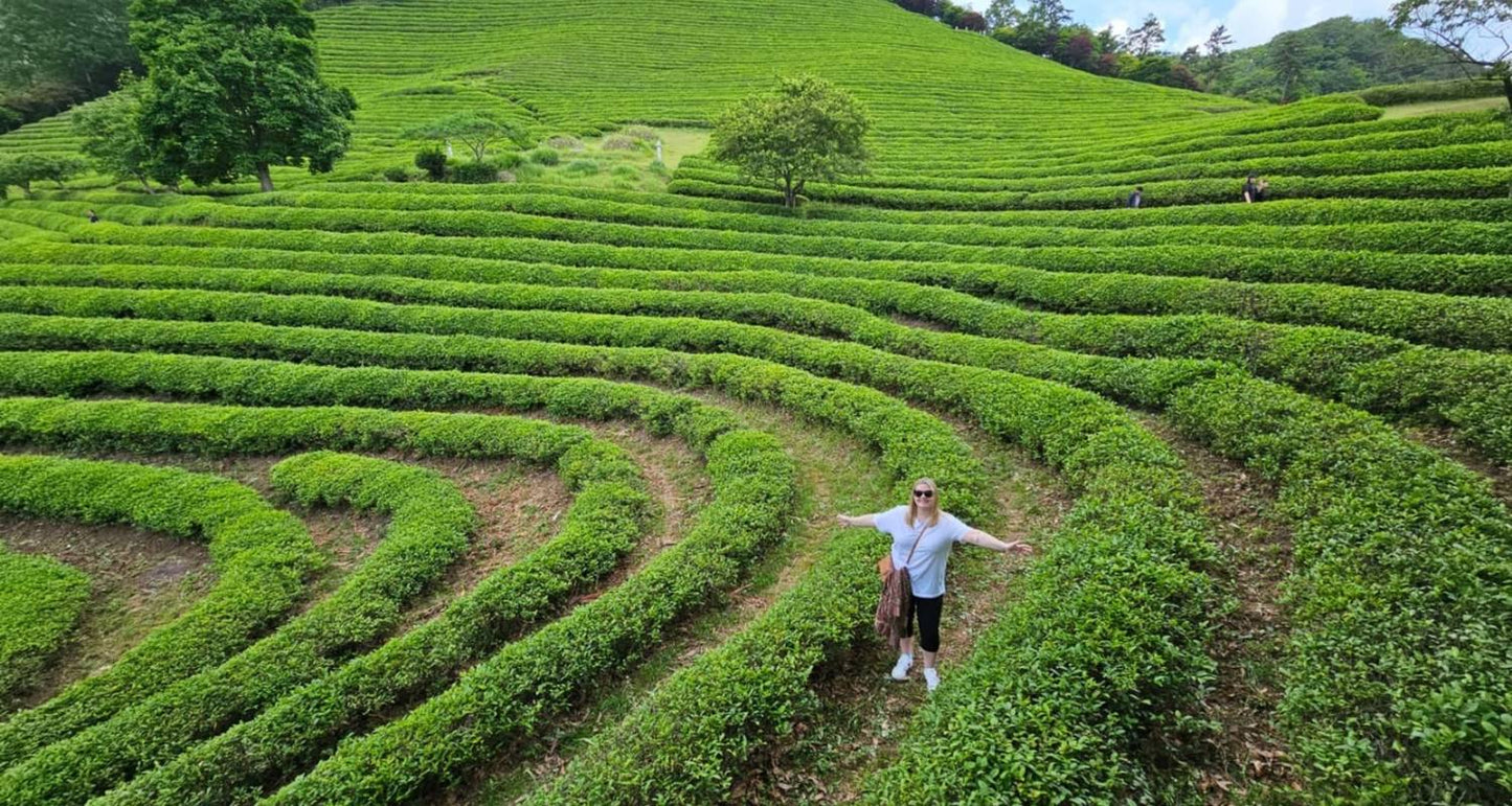 South Korea Highlights 7D/6N