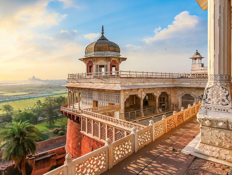 India: The Best of Tigers, History, and Culture