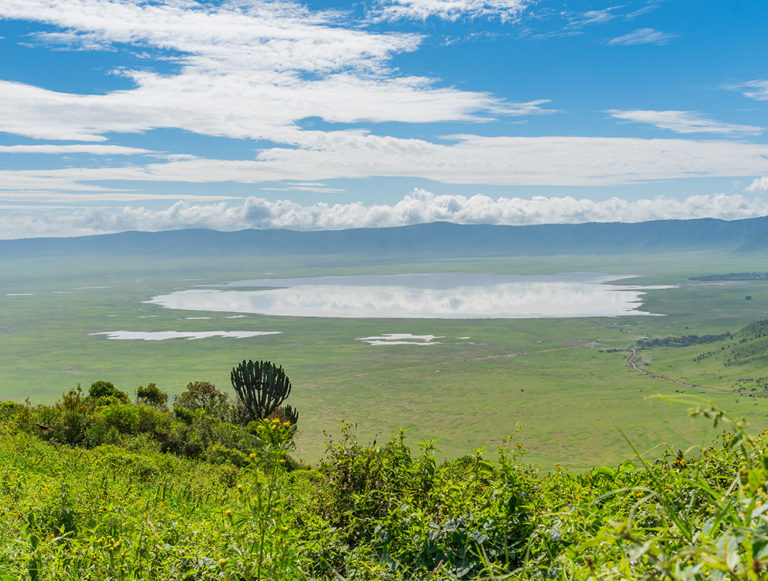 Tanzania: Great Migration Safari