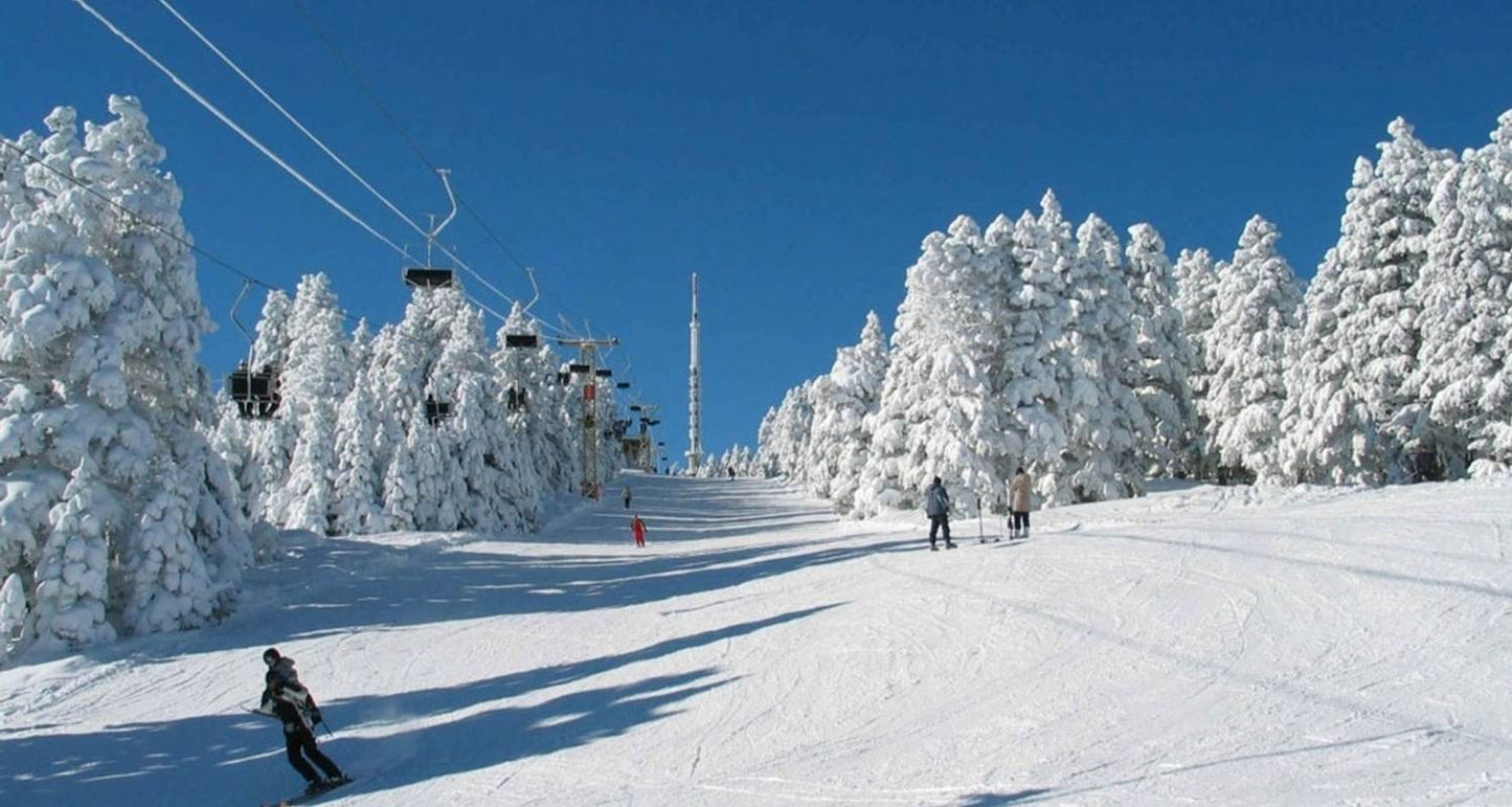 Winter in Georgia, Gudauri & Bakuriani