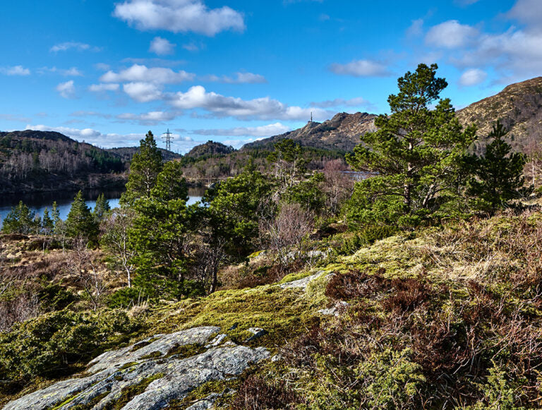 Norway: Family Adventure