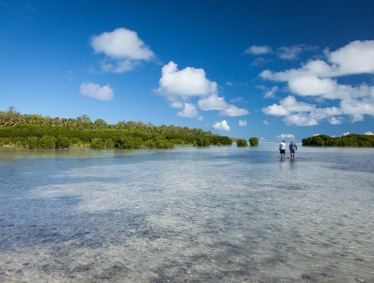 Seychelles: Conservation Honeymoon