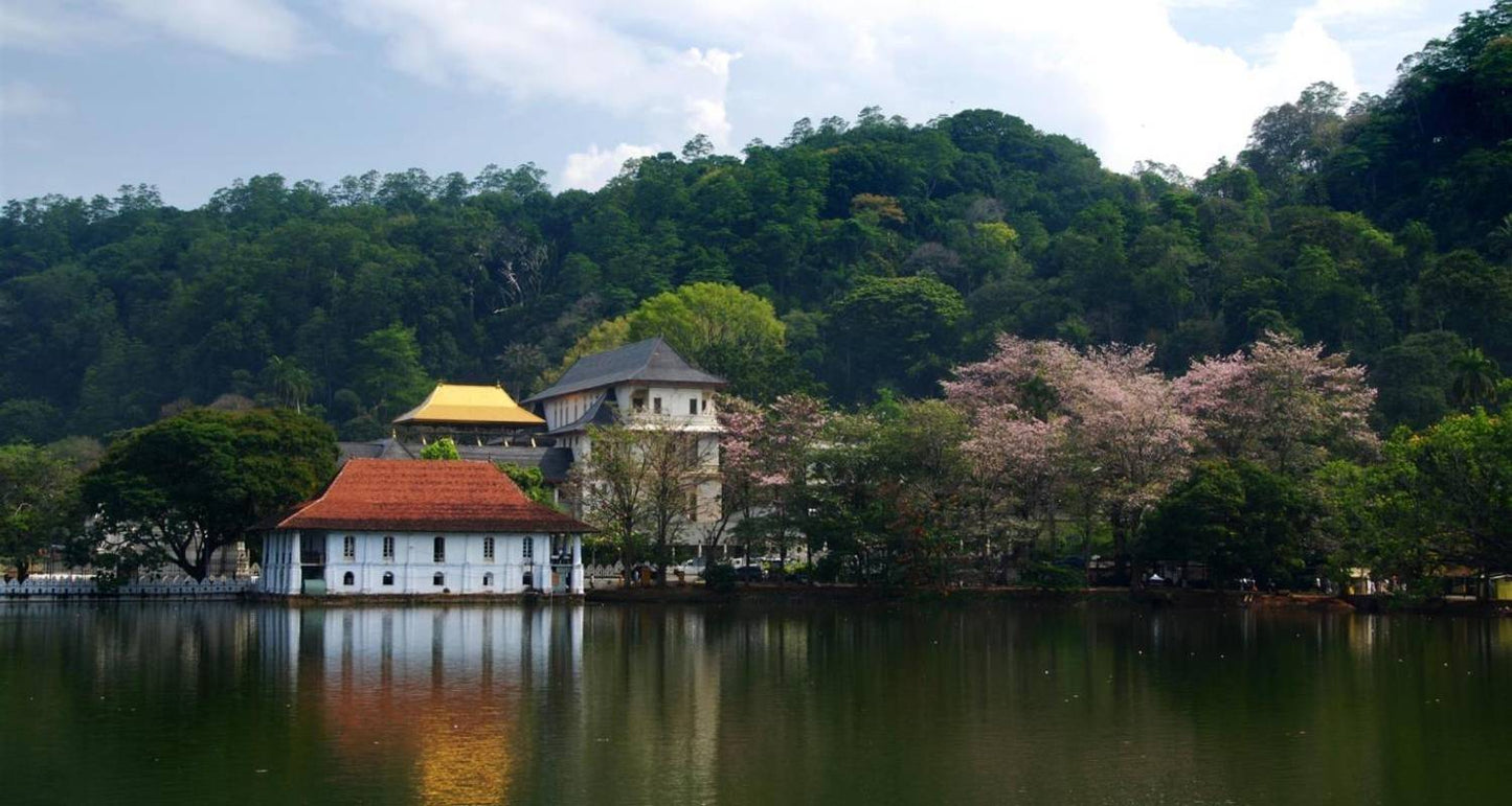 Highlights Tour of Sri Lanka