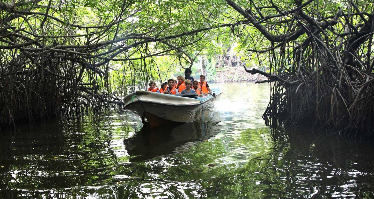 Discover the Best of Sri Lanka: From Coastal Beauty to Cultural Marvels" "Luxury Package "
