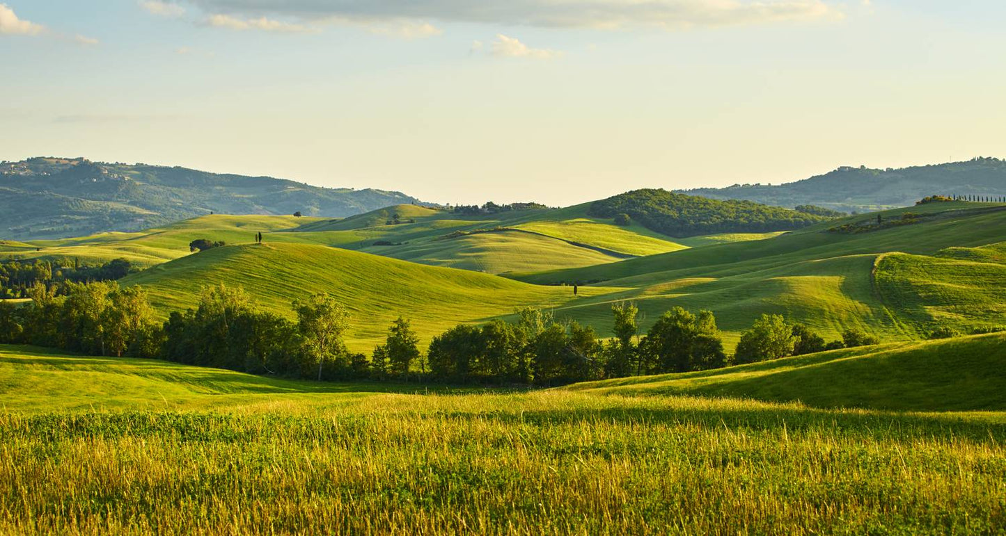 Mamma Mia! Best of Italy