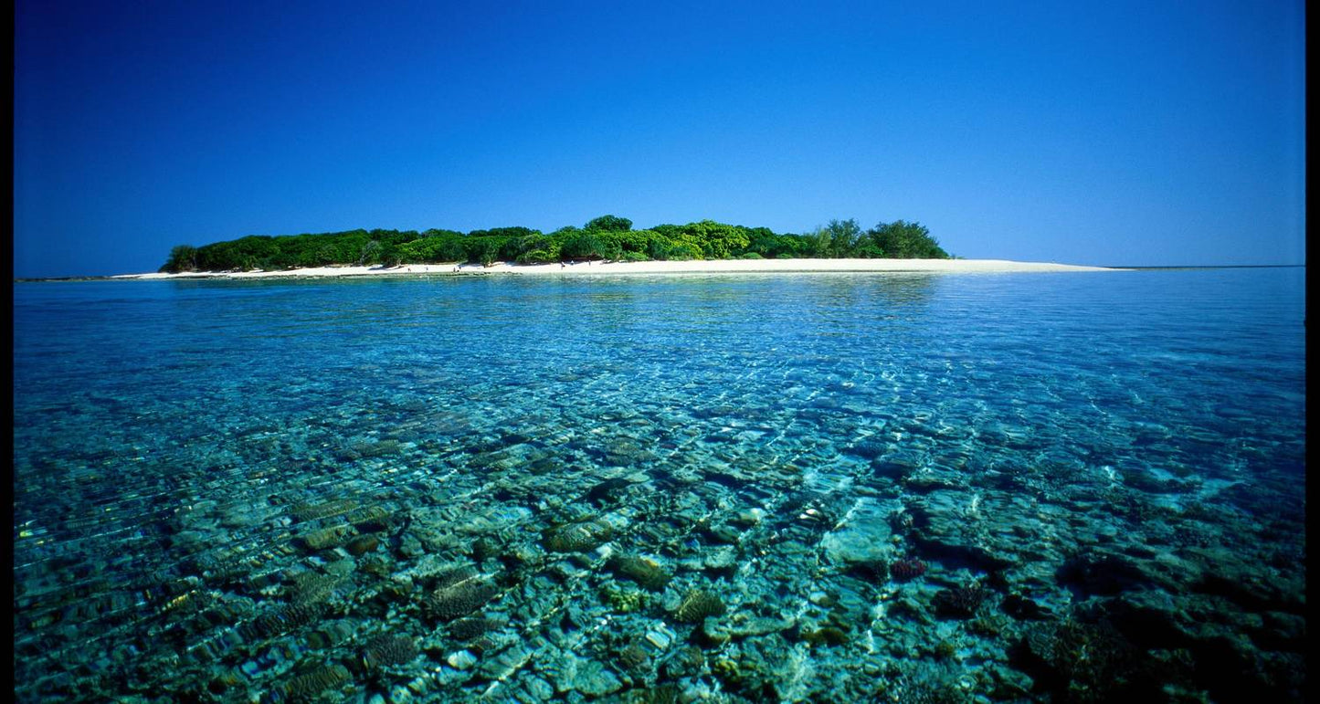 Brisbane to Cairns - 7 Day Boutique Tour