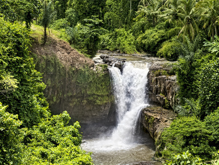 Indonesia: Beaches, Culture, and Wildlife