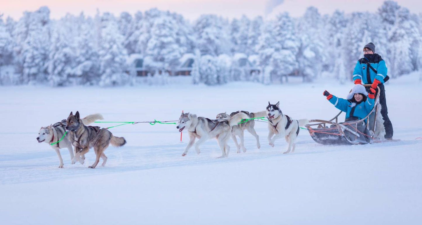 Arctic Winter Adventure - Adults Only
