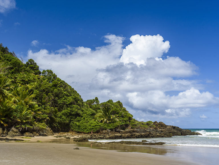 Brazil: Amazon to Bahia Eco-Luxury Honeymoon