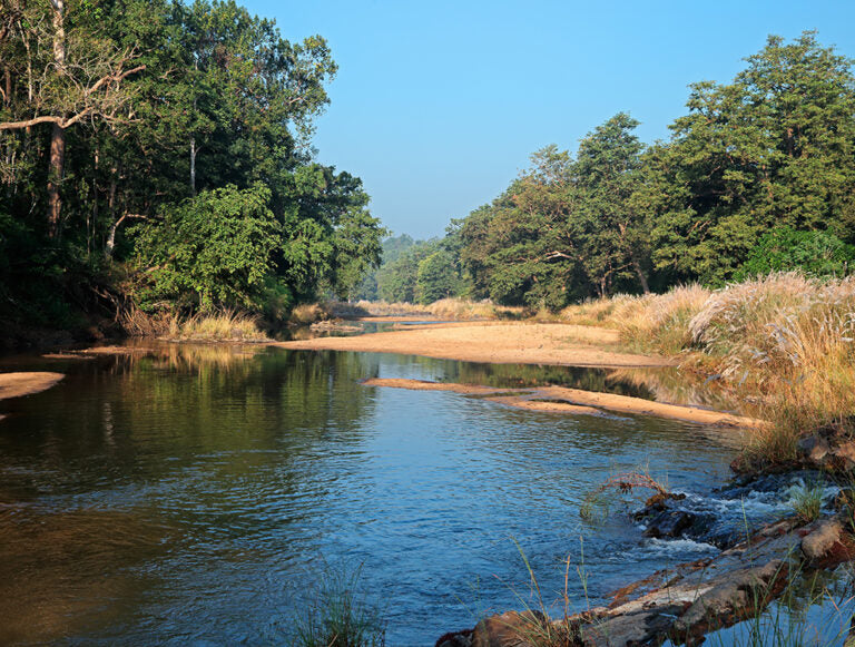 India: The Best of Tigers, History, and Culture